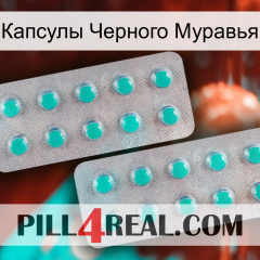 Капсулы Черного Муравья 29